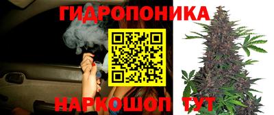 ГАЛЛЮЦИНОГЕННЫЕ ГРИБЫ Апрелевка