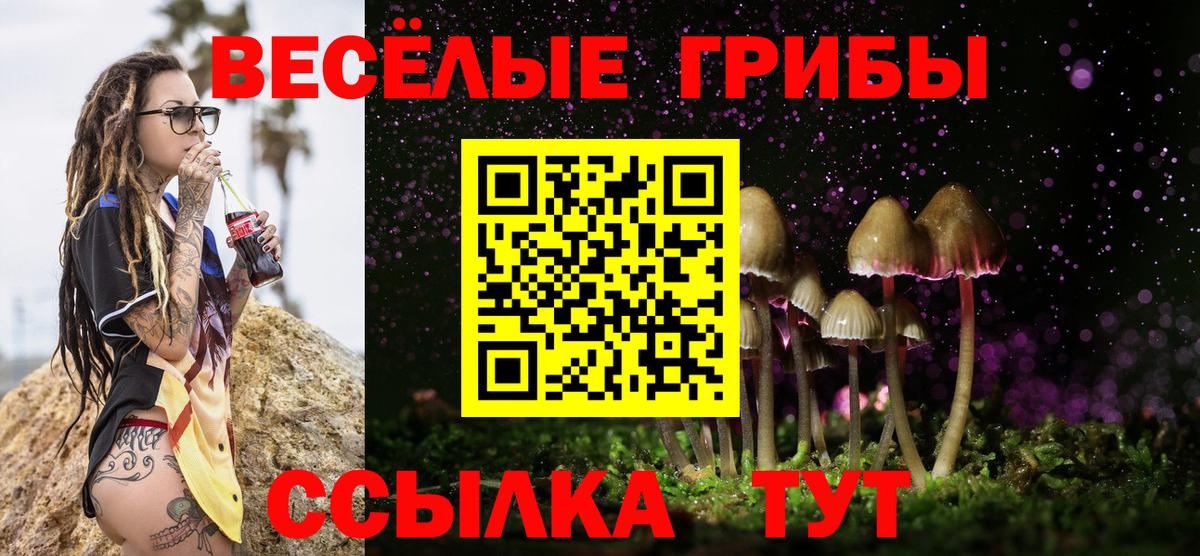 Богданович  Галлюциногенные грибы мицелий  Вход с VPN 